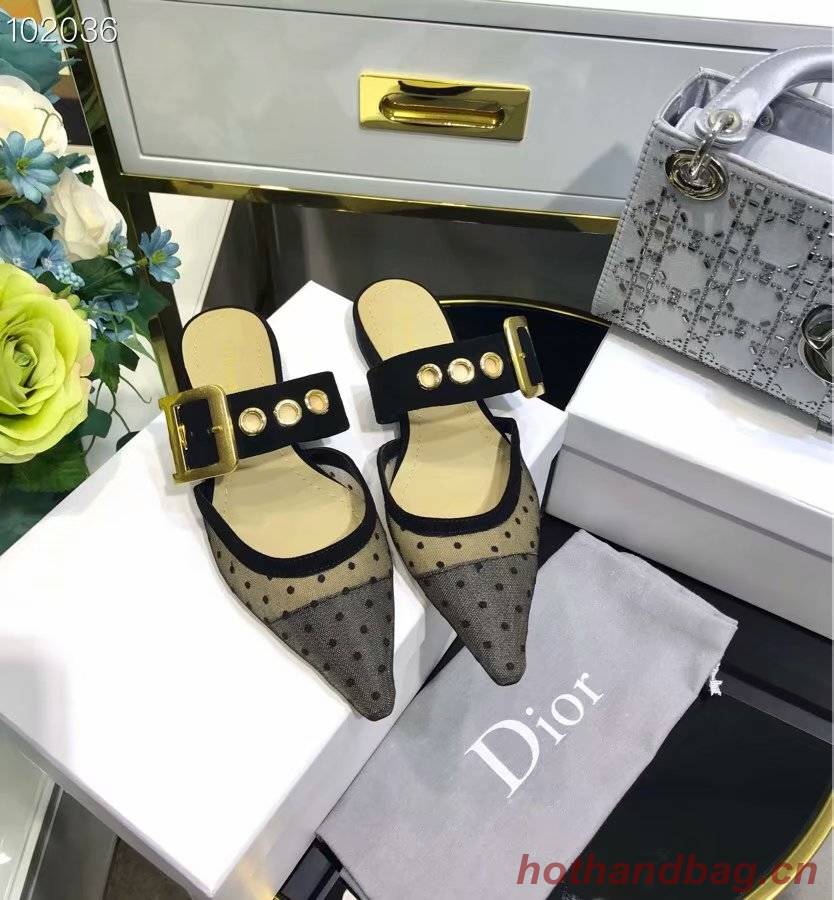 Dior Shoes Dior644H-3