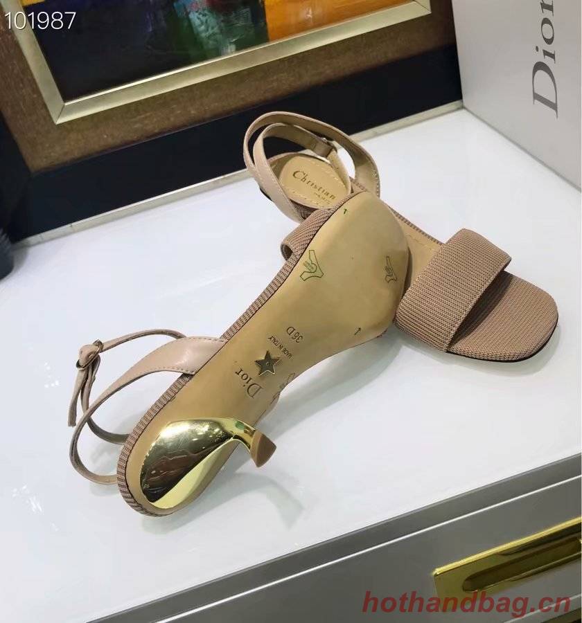 Dior Shoes Dior646H-2 6CM height