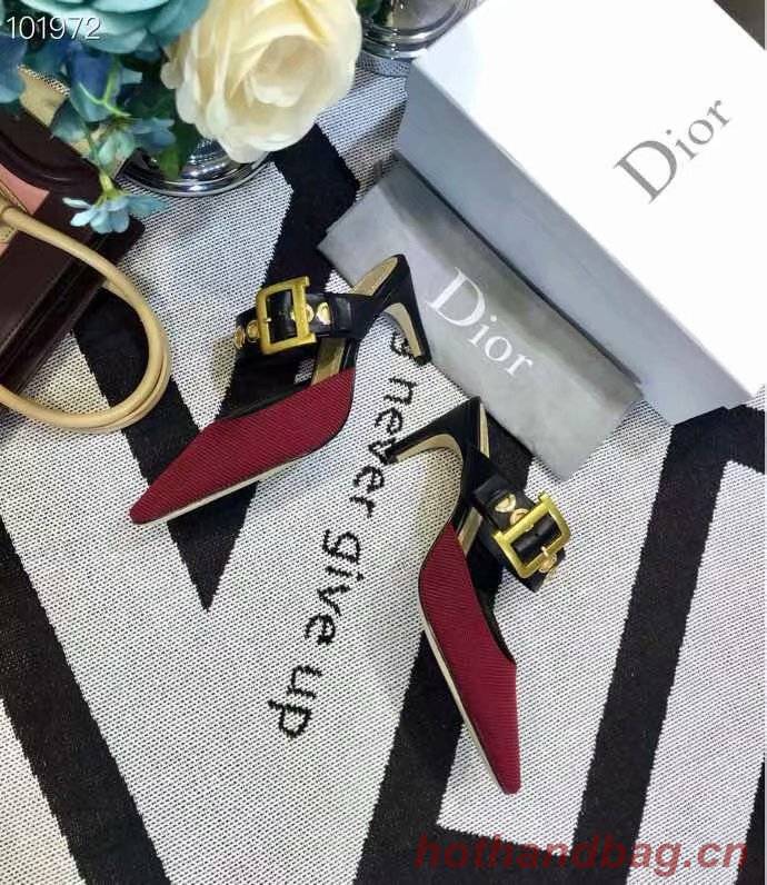 Dior Shoes Dior651H-14 6CM height