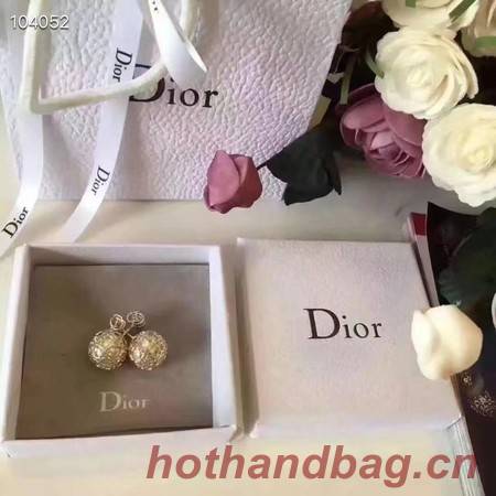 Dior Earrings CE3520