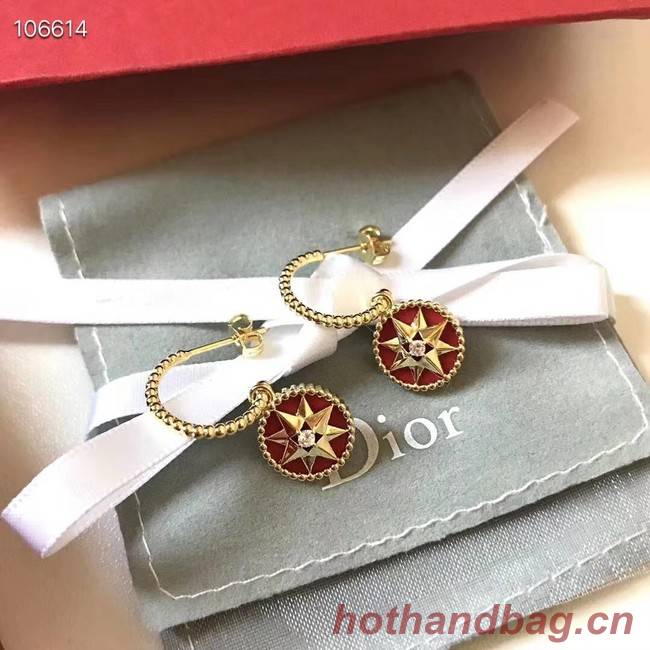 Dior Earrings CE3570