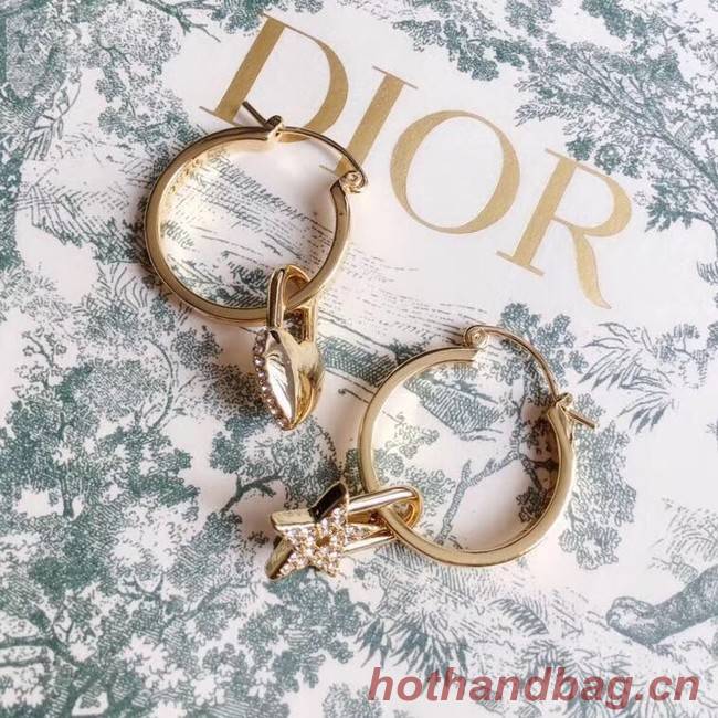 Dior Earrings CE3860