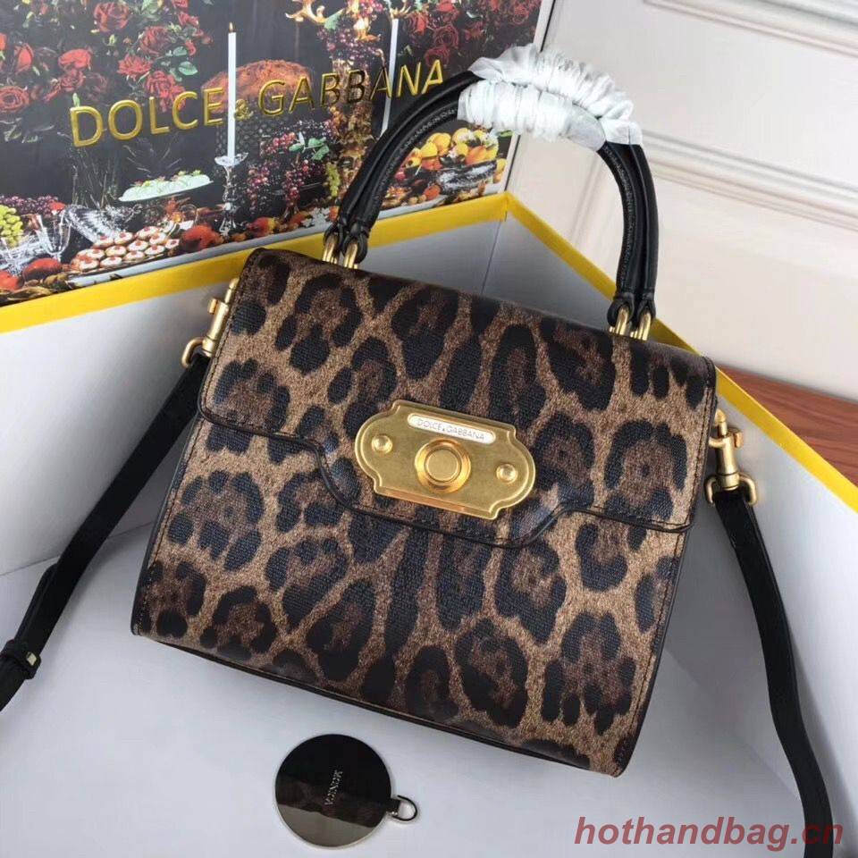 Dolce & Gabbana Leopard Leather Top Handle Bag DG8588 Brown