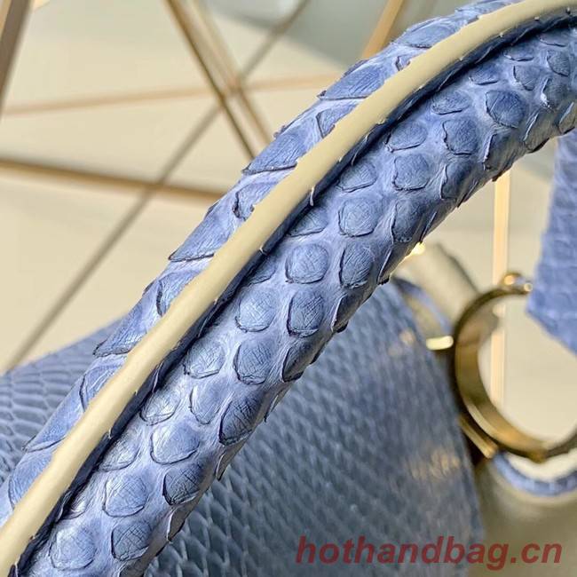 Louis vuitton CAPUCINES M42259 Bleu Gris