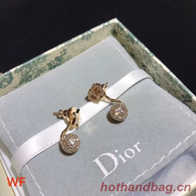 Dior Earrings CE3898