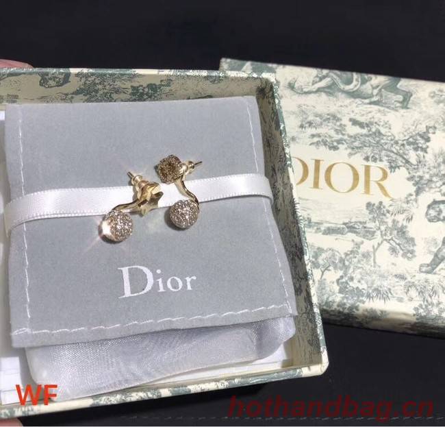 Dior Earrings CE3898