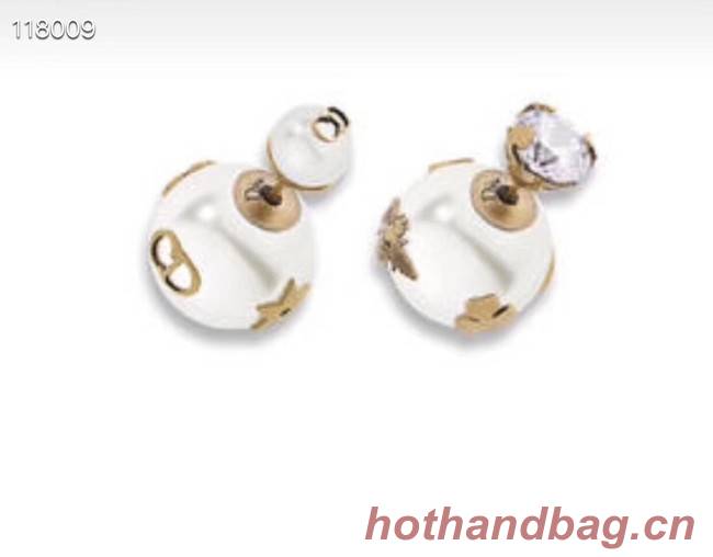 Dior Earrings CE4067