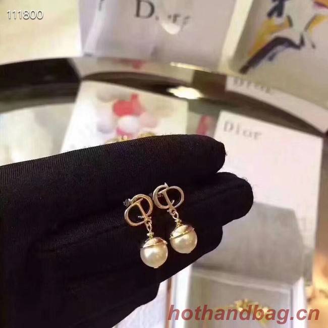 Dior Earrings CE4076