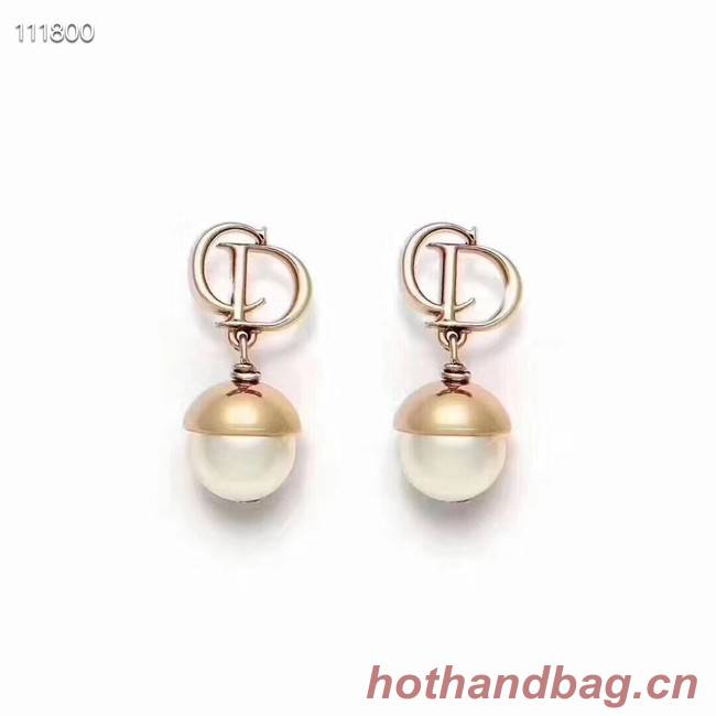 Dior Earrings CE4076