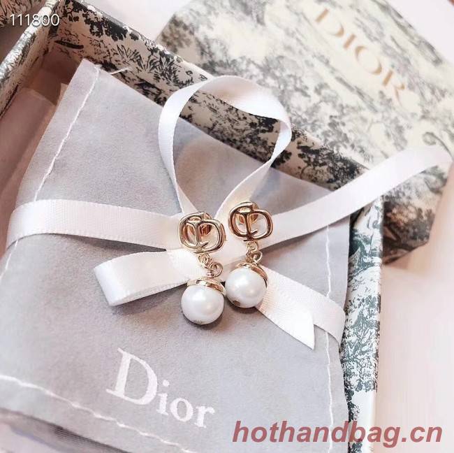 Dior Earrings CE4076