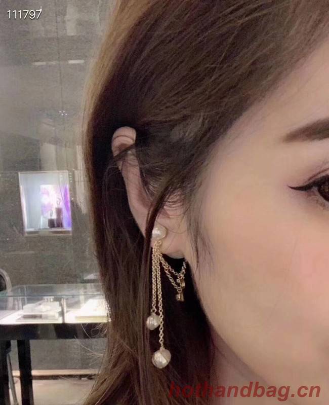 Dior Earrings CE4078