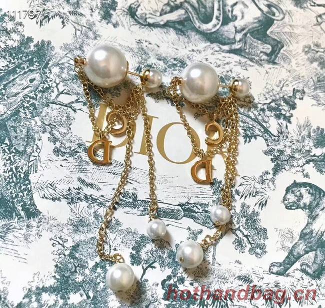 Dior Earrings CE4078