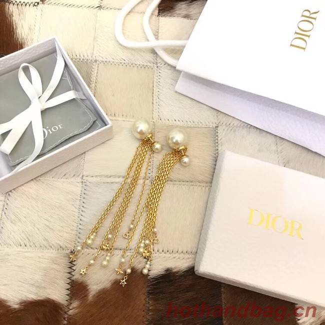 Dior Earrings CE4101