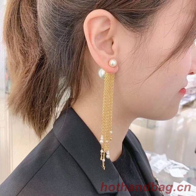 Dior Earrings CE4101