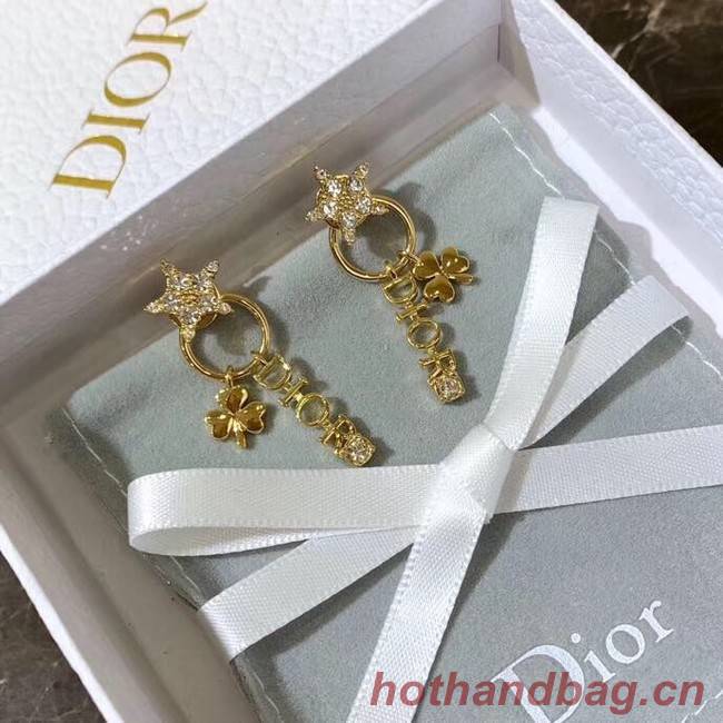 Dior Earrings CE4156