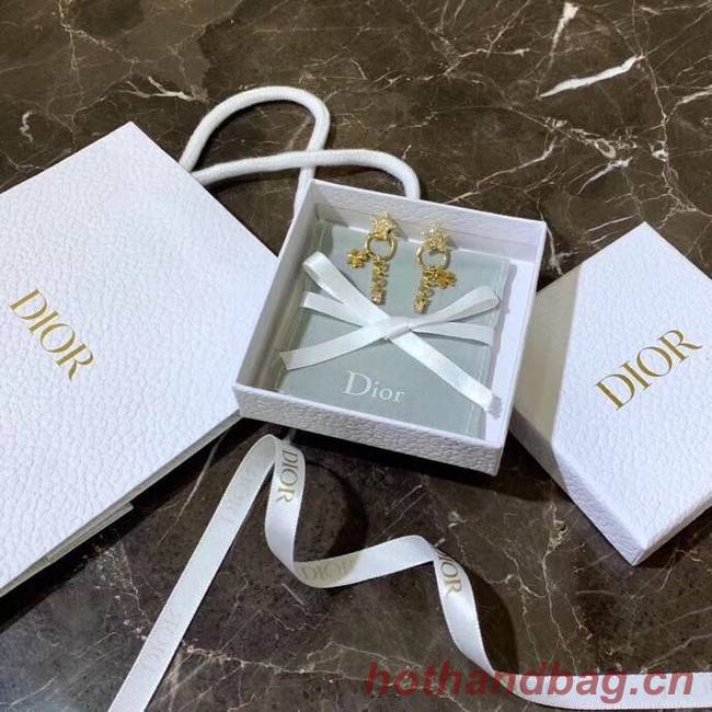 Dior Earrings CE4156