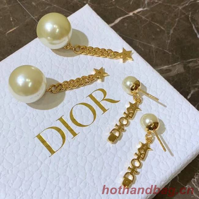 Dior Earrings CE4157