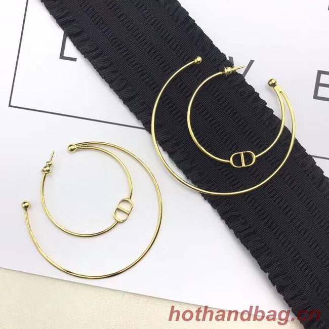 Dior Earrings CE4184