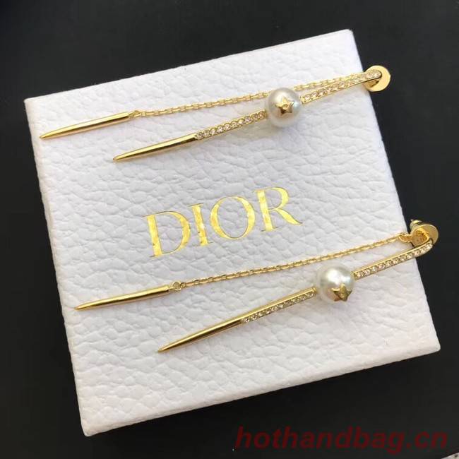 Dior Earrings CE4214