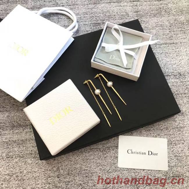 Dior Earrings CE4214