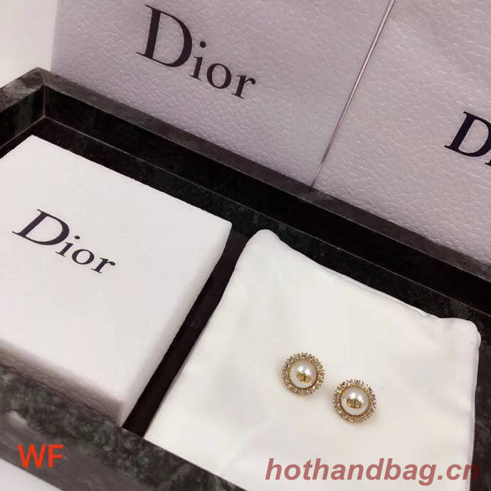 Dior Earrings CE4322