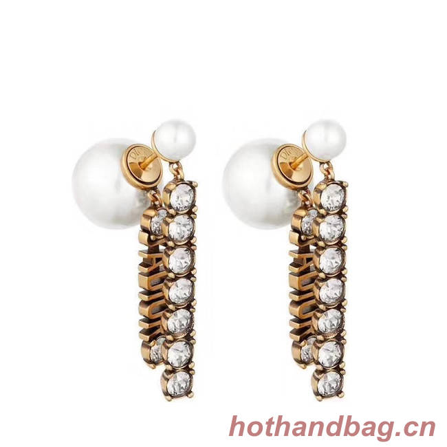 Dior Earrings CE4340