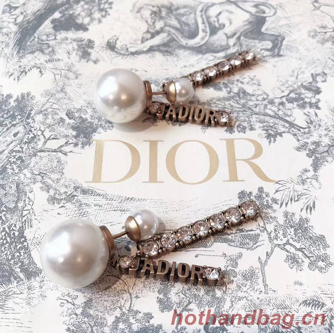 Dior Earrings CE4340