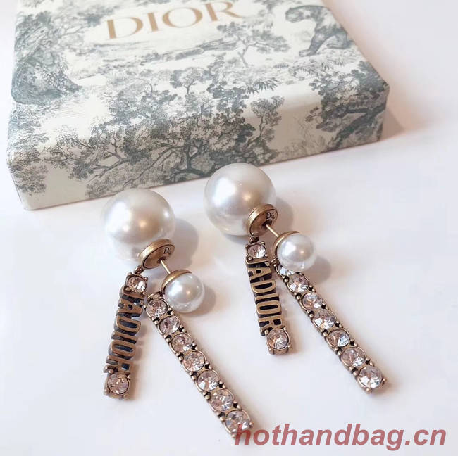 Dior Earrings CE4340