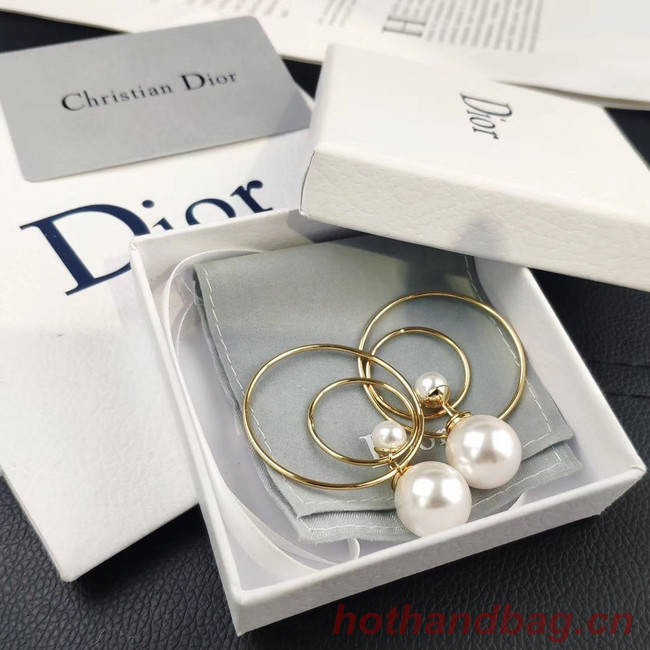 Dior Earrings CE4505