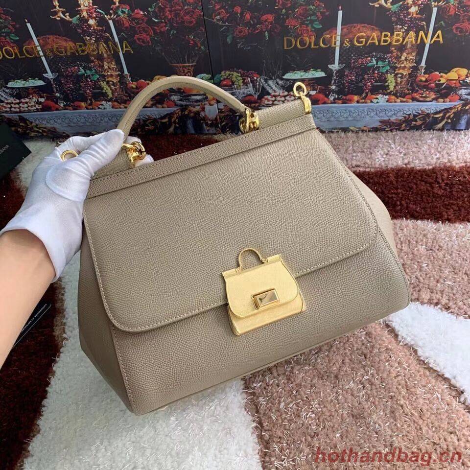 Dolce & Gabbana Origianl Leather Bag 4131 apricot