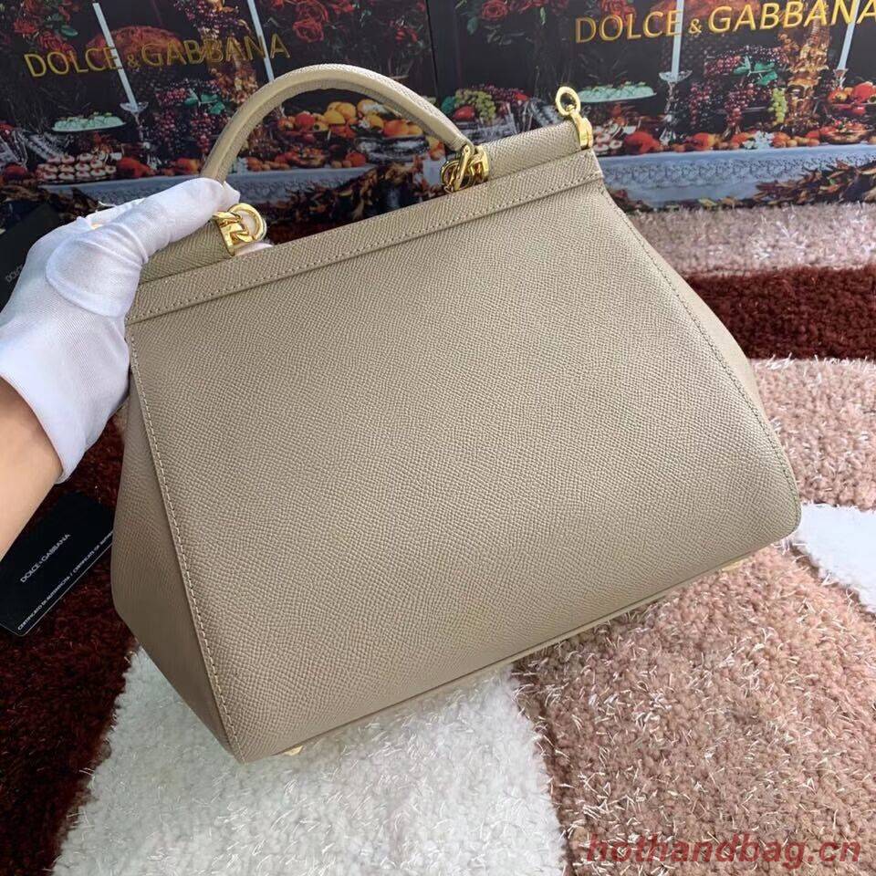 Dolce & Gabbana Origianl Leather Bag 4131 apricot