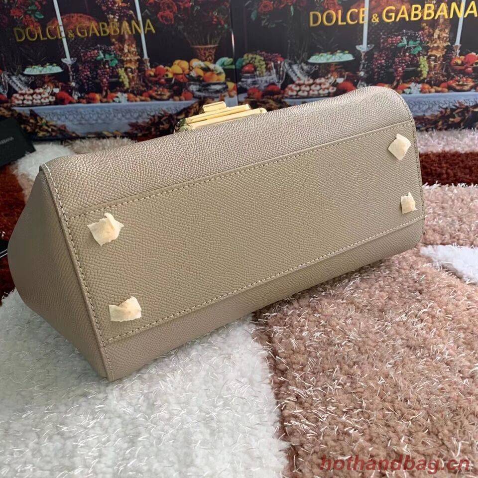 Dolce & Gabbana Origianl Leather Bag 4131 apricot