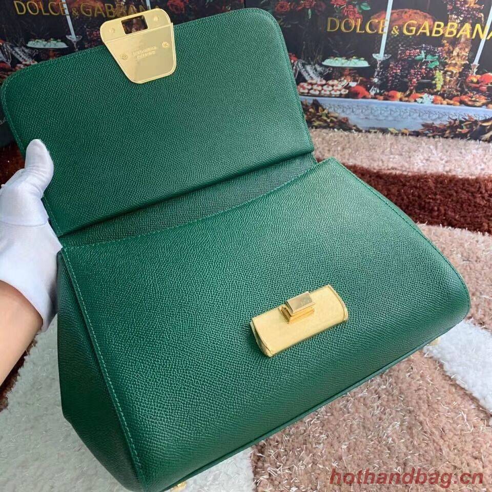 Dolce & Gabbana Origianl Leather Bag 4131 green