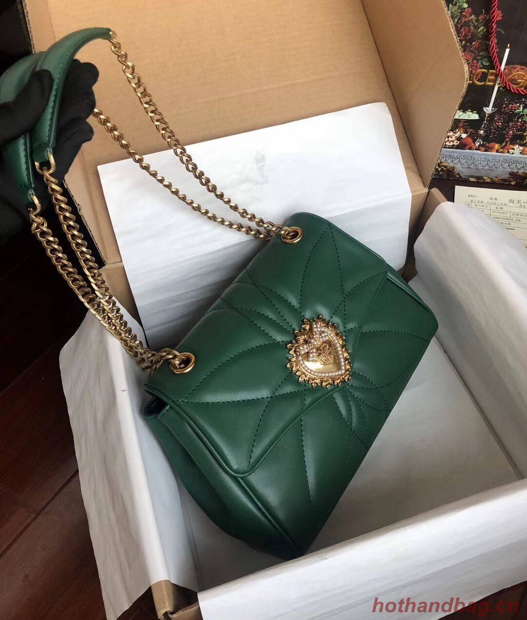 Dolce & Gabbana Origianl Leather Bag 4919 green