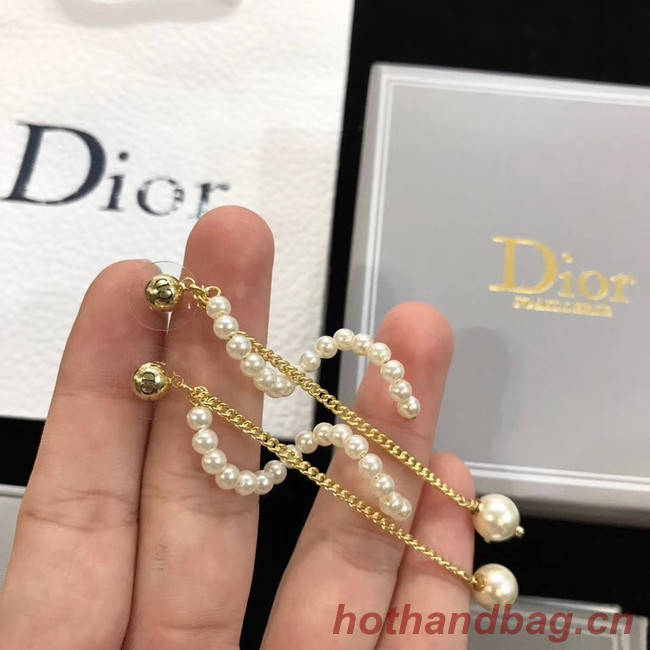 Dior Earrings CE4517