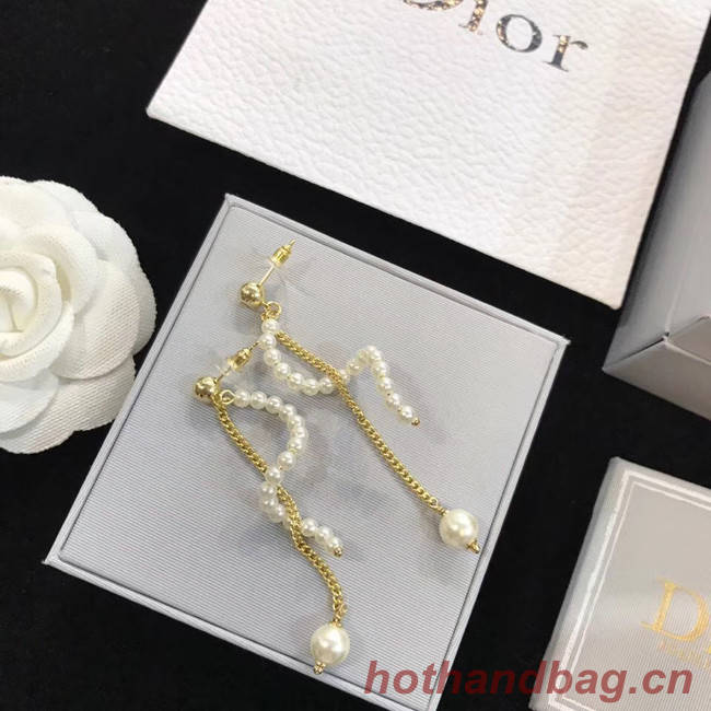 Dior Earrings CE4517