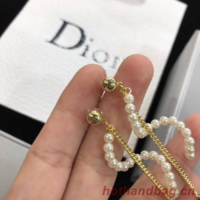 Dior Earrings CE4517