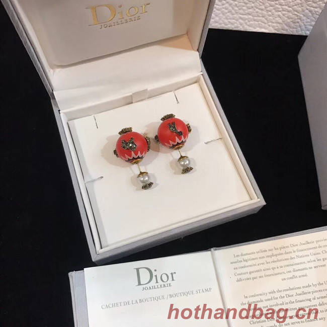 Dior Earrings CE4613