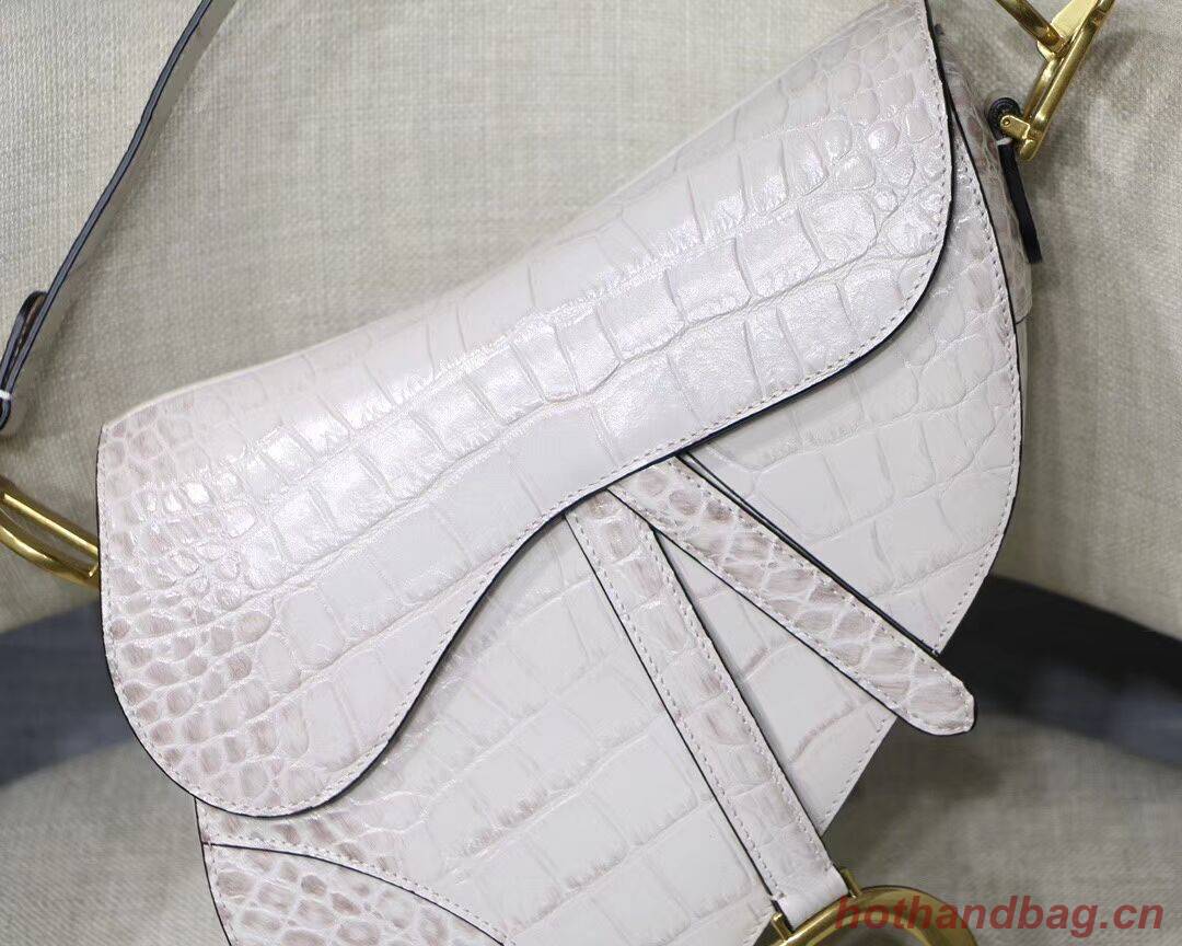 Dior SADDLE SOFT CALFSKIN BAG C9045 white