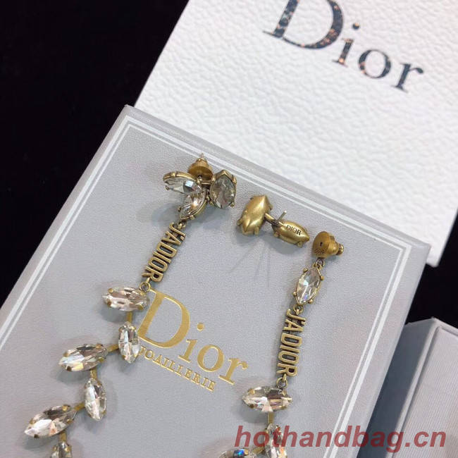 Dior Earrings CE4782