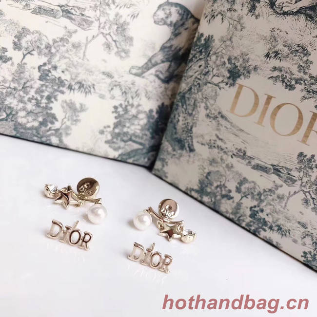 Dior Earrings CE4785