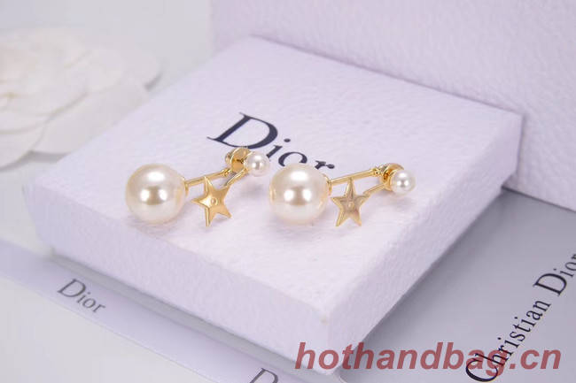 Dior Earrings CE4788