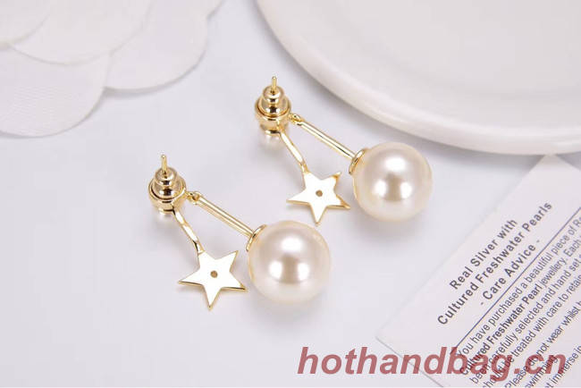 Dior Earrings CE4788