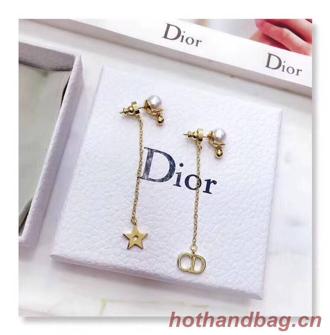 Dior Earrings CE4801