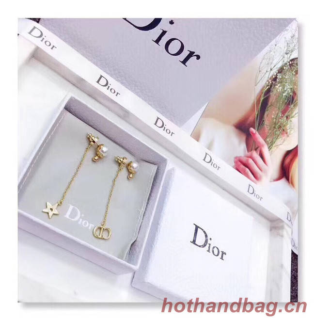 Dior Earrings CE4801