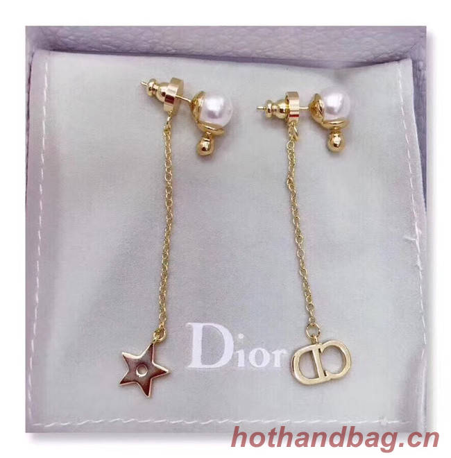 Dior Earrings CE4801