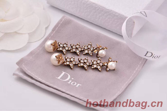 Dior Earrings CE4806