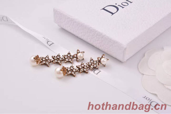 Dior Earrings CE4806