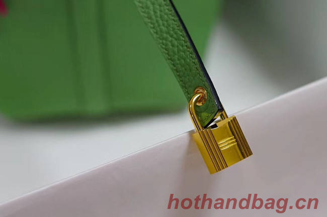 Hermes Picotin Lock PM Bags Togo Leather H5599 green