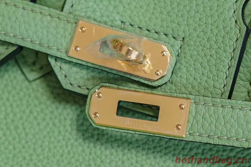 Hermes Birkin 25CM Togo Leather H5601 green